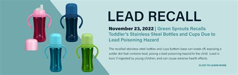 Nevada Childhood Lead Poisoning Prevention Program