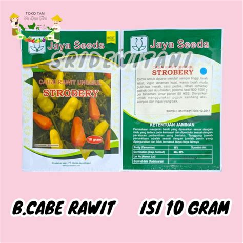 Jual Isi 2000 Biji Bibit Cabe Rawit STROBERY 10 GRAM JAYA SEED Benih