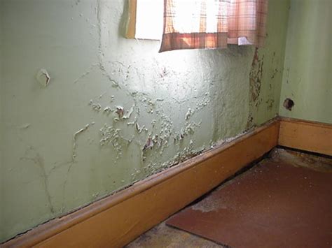 Ways / Tips To Overcome The Damp Walls | home & garden healthy design