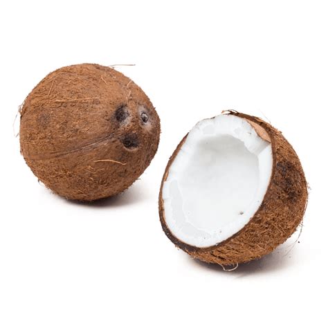 Dry Coconut Recipes Easy At Keith Garcia Blog