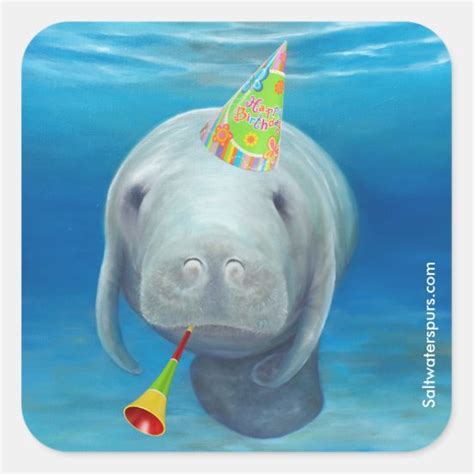 Manatee Birthday Ts On Zazzle