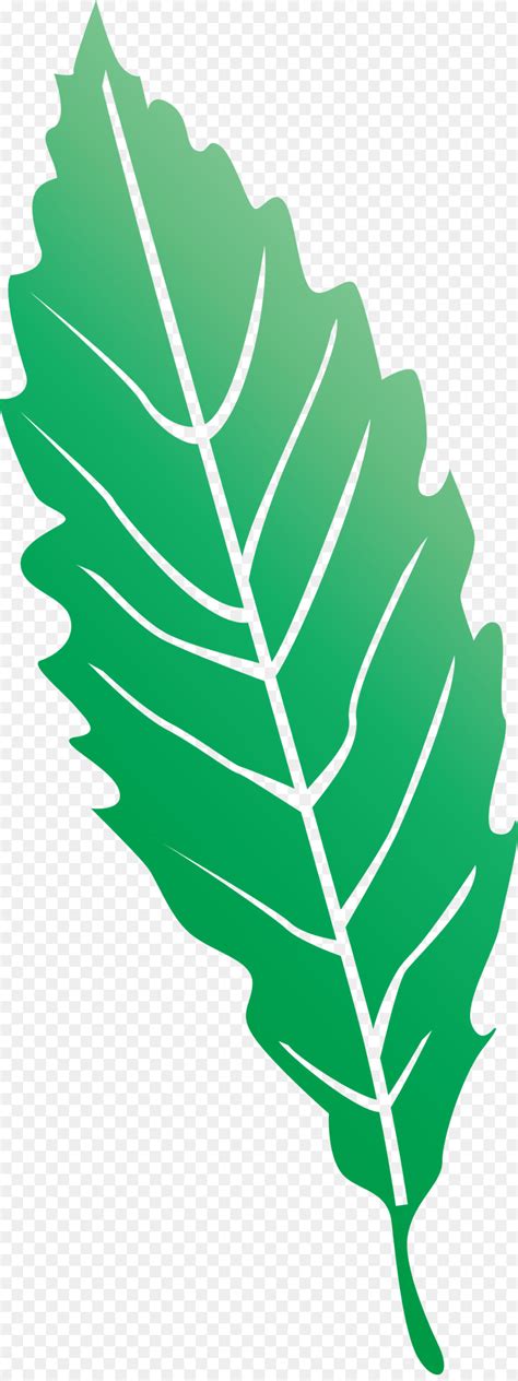 Feuille Tige De La Plante Vert Png Feuille Tige De La Plante Vert