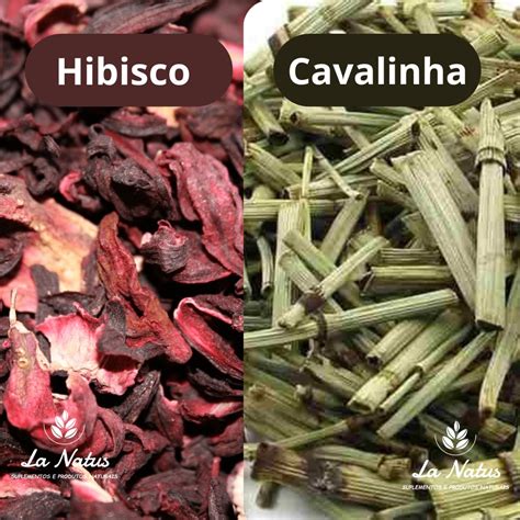 Pode Tomar Cha De Hibisco Com Cavalinha Todos Os Dias - Kit Chá - Hibisco + Cavalinha 100g de cada - Perca de Peso ...