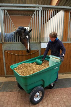 Alimentation du cheval La Gée Cheval