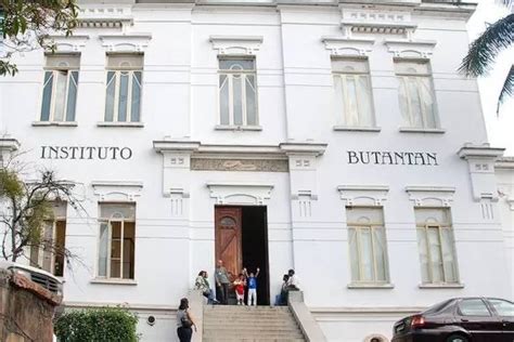 Instituto Butantan On X O Instituto Butantan Submeteu Anvisa Nesta