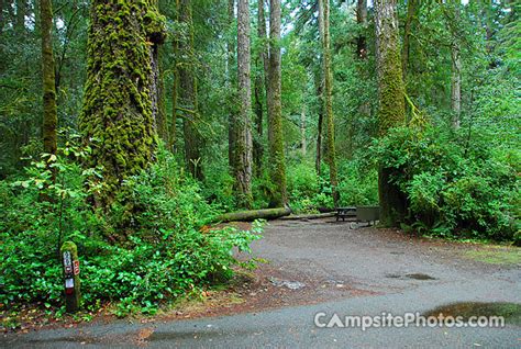 Jedediah Smith Redwoods State Park - Campsite Photos & Reservations