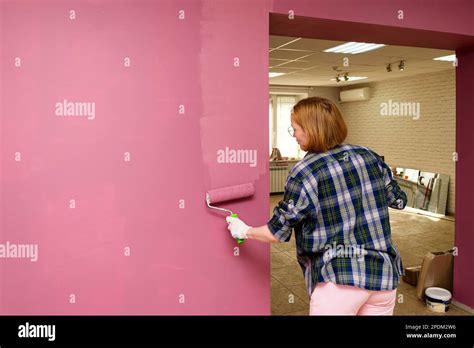 wall  brush painter painting house wall  roller brush worker