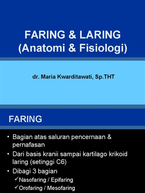 Pdf 7 Anatomi Faring Dan Laring Dr Maria Dokumentips