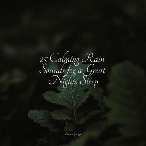 25 Calming Rain Sounds For A Great Nights Sleep Album By Musica Para