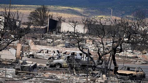 Hawaii wildfires: Governor warns dozens more could be dead | World News | Sky News