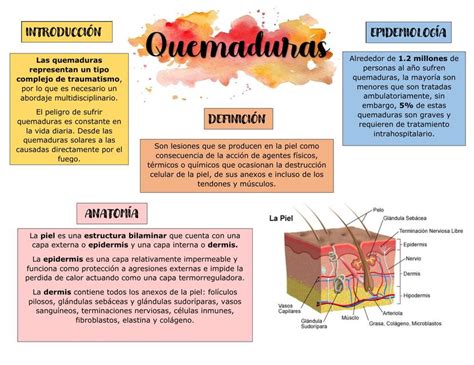 Fases De Las Quemaduras