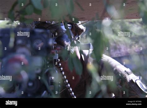 U S Army Paratroopers And Their Allies Gear Up And Work Together In