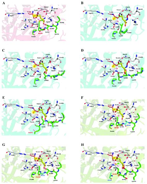 Comparison Of The Catalytic Environments Of Wild Type And Mutant