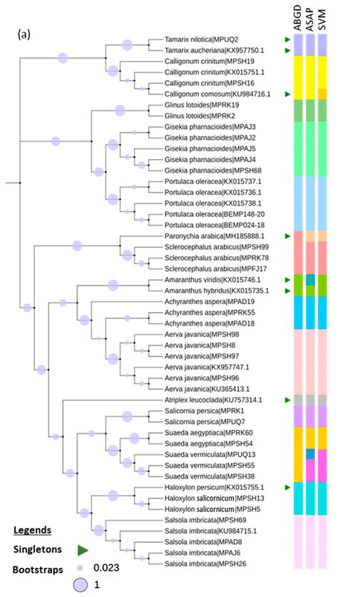 Diversity Free Full Text Dna Barcodes For Accurate Identification