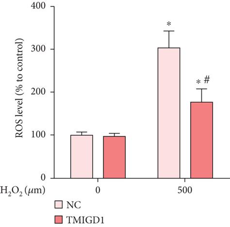 Tmigd1 Alleviates Oxidative Stress In The Mesothelial Cells A Ros Download Scientific