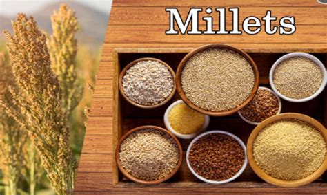 Millets The Ancient Grains Shocking Benefits Of Them Granny Naturals