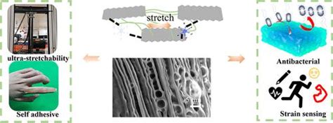 Nacre Mimetic Structure Multifunctional Ion Conductive Hydrogel Strain