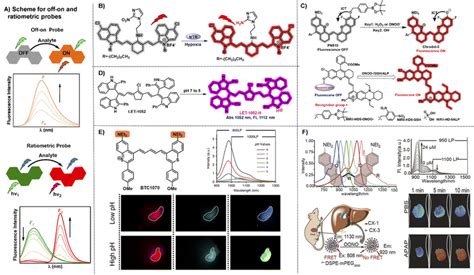 The Pursuit Of Polymethine Fluorophores With Nir Ii Emission And High