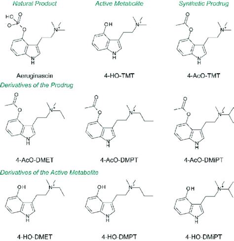 Structures Of Aeruginascin As Well As Putative Active Metabolite