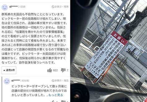 ビッグモーター店舗前の街路樹だけ枯れて伐採されているという事実 事実を整える