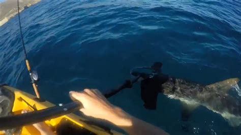 Hammerhead Shark Attacks Kayak Fisherman