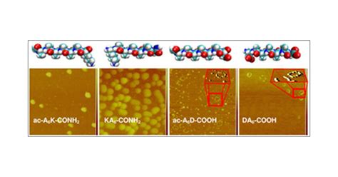 Lipid Like Self Assembling Peptide Nanovesicles For Drug Delivery ACS