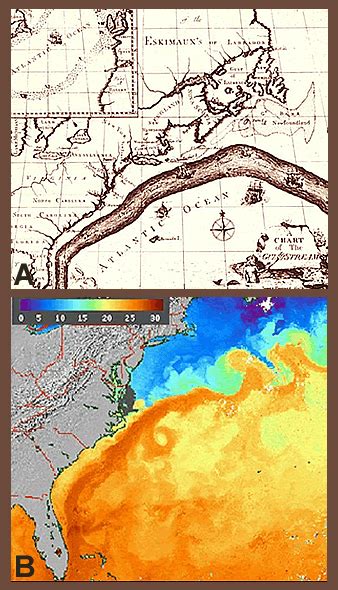 Gulf Stream Map