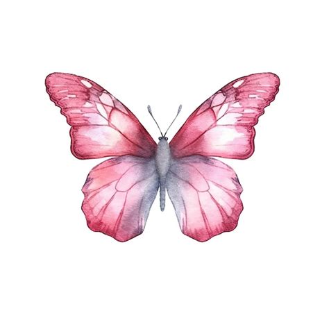 Un Dibujo De Acuarela De Una Mariposa Con Alas Rosas Foto Premium