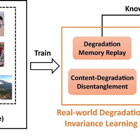 The Overall Framework Of Our Degradation Invariance Learning DIL A