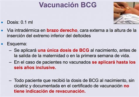 Bcg Cepem Información Sobre Vacunas