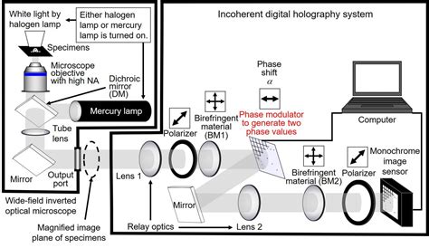 Figure 1 [image] Eurekalert Science News Releases