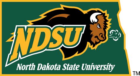 North Dakota State Bison Secondary Logo Ncaa Division I N R Ncaa N