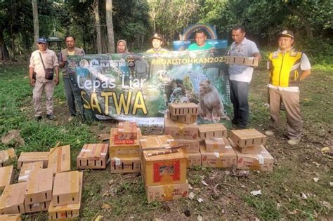 Bksda Bali Burung Yang Dilepasliarkan Di Jembrana Sitaan