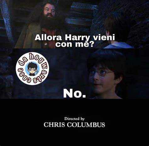 Harry Potter Fanpage Su Instagram Ahahahahah Vi Immaginate🤣🤣🤣 Ripppp