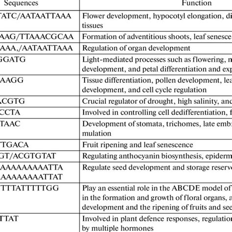 Cis Acting Regulatory Elements Of Slnf X1 Genes Download Scientific