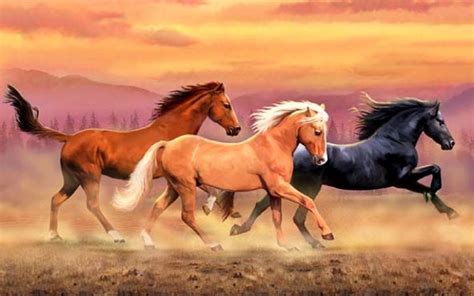 Wild Horse Wallpaper 59 Images