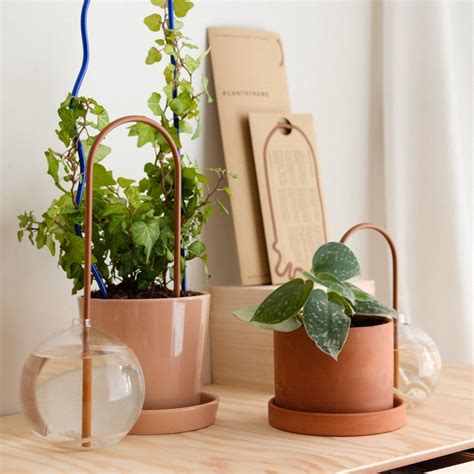 Plant Straw Brown – plantstraws