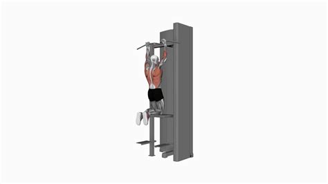 Assisted Parallel Close Grip Pull Up For Stronger Upper Body 1000