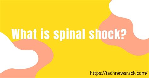 What is Spinal Shock? | Causes & Symptoms of Spinal Shock