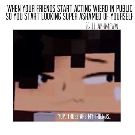 Aphmau Memes #aphmaumemes #memes #aphmau | Aphmau, Aphmau my street ...