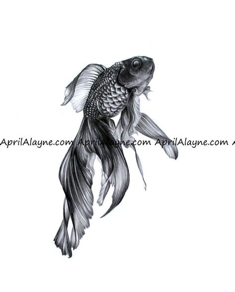 Fish Print by April Alayne black and White - Etsy