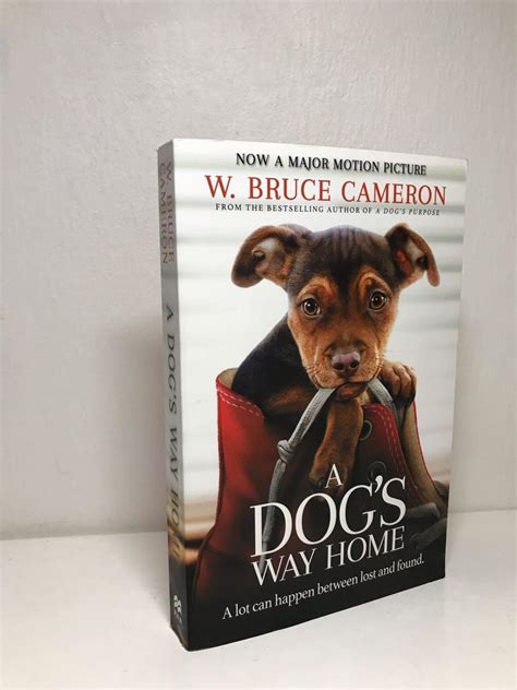 A Dogs Way Home Book Cover - Mphly1phjcpnm / Ships from and sold by ...