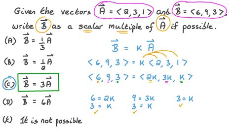 What Is Scalar Multiplication Of Matrices - Free Worksheets Printable