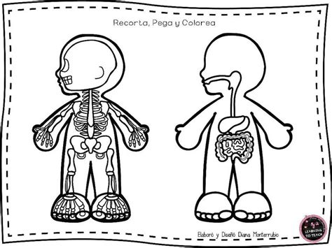 53 Actividades Partes Del Cuerpo 2a Parte Página 09 Imagenes Educativas