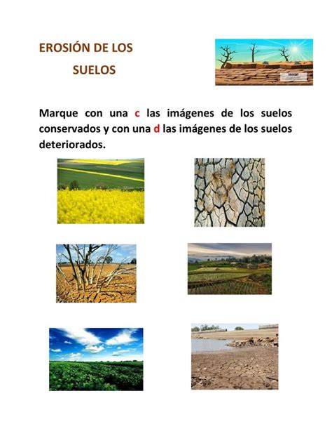 La Erosion De Los Suelos Worksheet Erosi N Del Suelo Ciencias De La