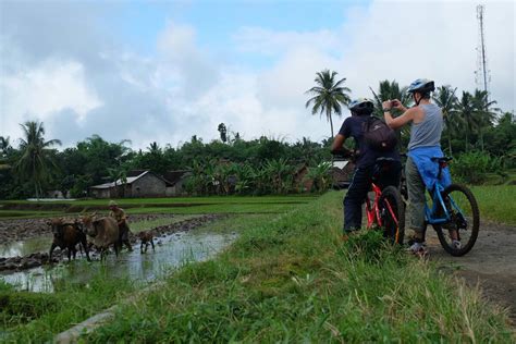 Mount Bromo Ijen Cycling Tour 3D2N