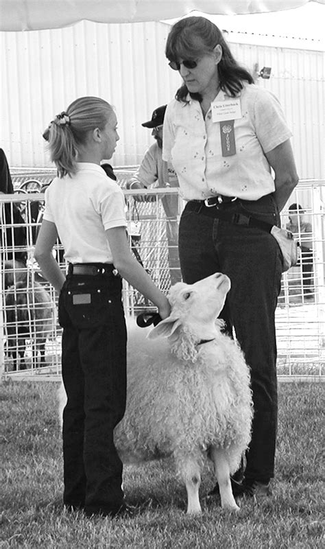 Fun with Miniature Goats - Backyard Goats