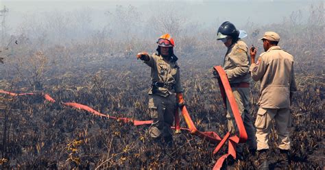 G1 Incêndio consome 20 mil m² de vegetação em Rio das Ostras no RJ