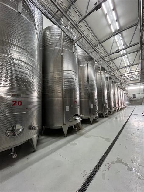 White wine vinification – GBTECH