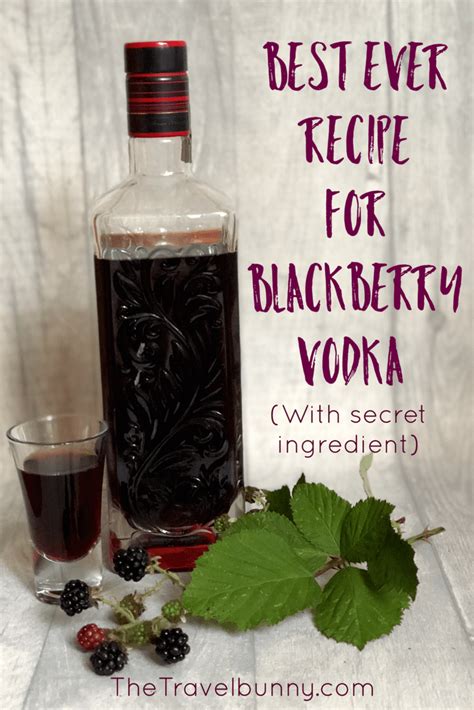 Simple Recipe For Blackberry Vodka